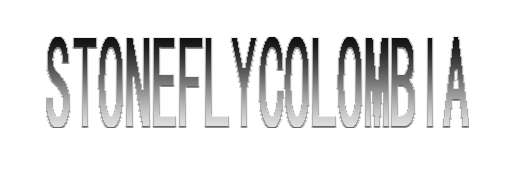 Stoneflycolombia